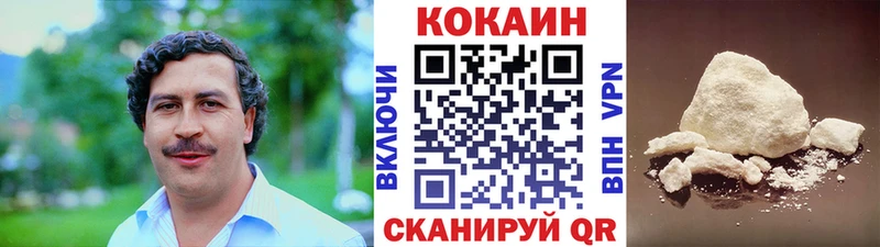 закладки  Куртамыш  COCAIN Fish Scale 