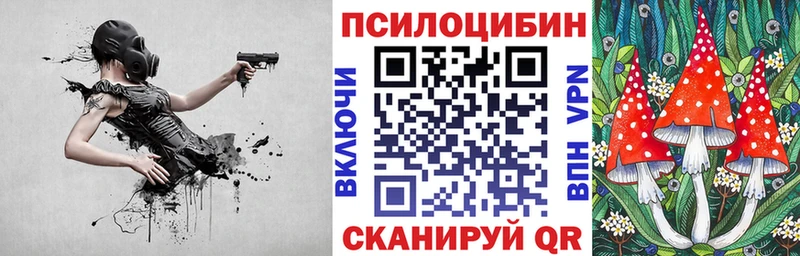 Галлюциногенные грибы мицелий  МЕГА   Куртамыш 